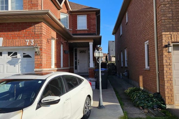 Living room - Bsmt - 73 Orchid Drive, Brampton, ON L7A2C4 Photo 2