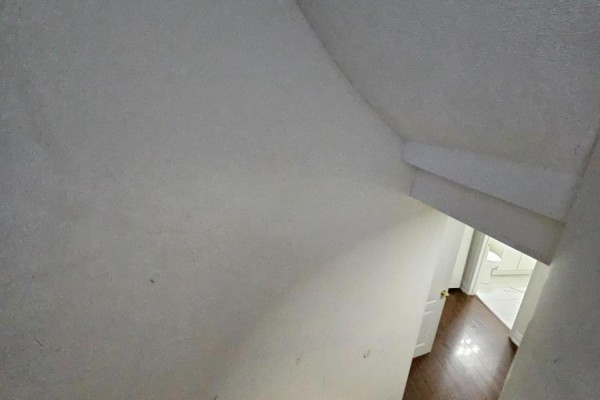 Bedroom 2 - Bsmt - 73 Orchid Drive, Brampton, ON L7A2C4 Photo 4