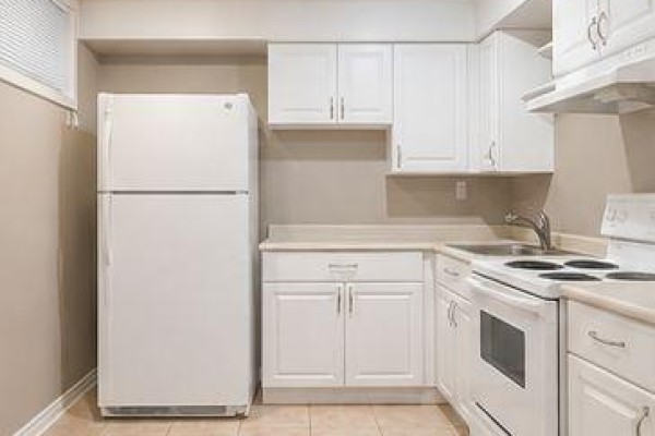 Bsmt - 8 Janray Drive, Toronto, ON M1G1Y1 Photo 5