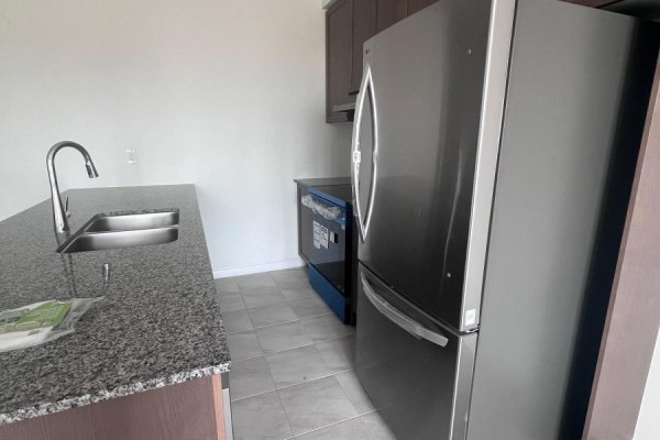 Bsmt - 8 Thornbird Crescent, Brampton, ON L6V3N5 Photo 2