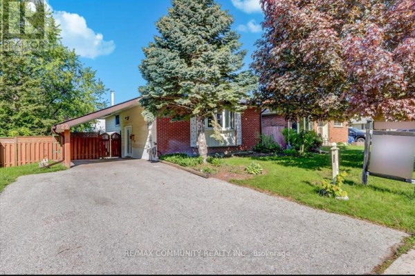 Bsmt - 822 Central Park Boulevard N, Oshawa, ON L1G6B1 Photo 3