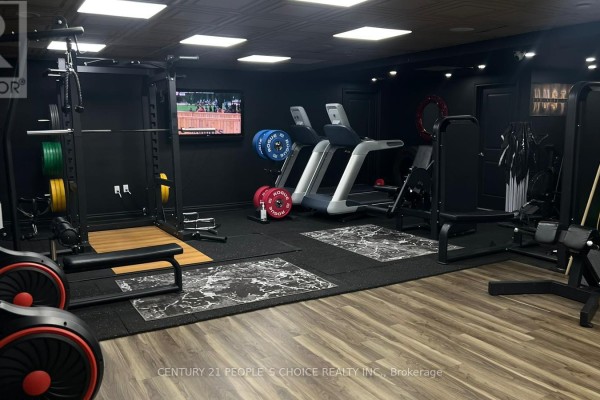 Fitness centre with weight racks, barbells, dumbbells, and treadmills in a dark room. - Bsmt - 860 North Park Drive, Brampton