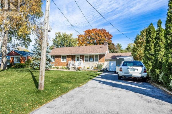 Living room - Bsmt - 87 Watson Street, Toronto, ON M1C1E2 Photo 2