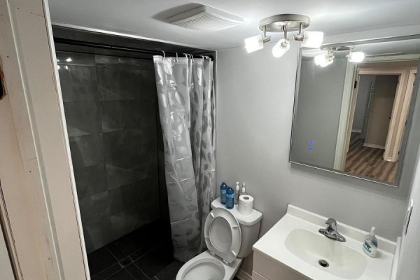 A small bathroom with a toilet, vanity, sink, and a dark grey tiled shower with a shower curtain. - Bsmt - 96 Honey Street, Cambridge