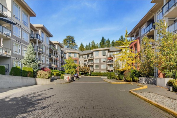 C209 20211 66 Avenue, Langley, BC V2Y0L4 Photo 2
