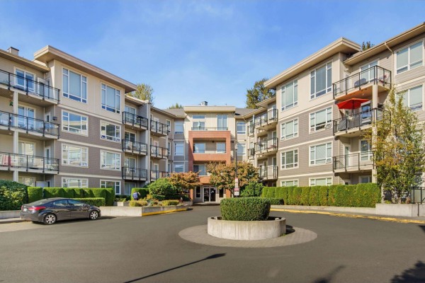 C209 20211 66 Avenue, Langley, BC V2Y0L4 Photo 3