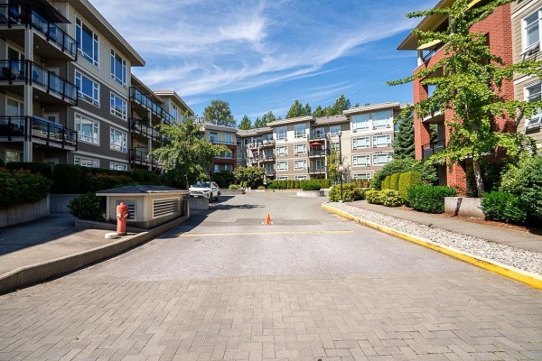 C420 20211 66 Avenue, Langley, BC V2Y0L4 Photo 2