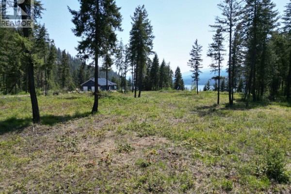 Caitlin Road Lot# 19, Christina Lake, BC V0H1E0 Photo 3