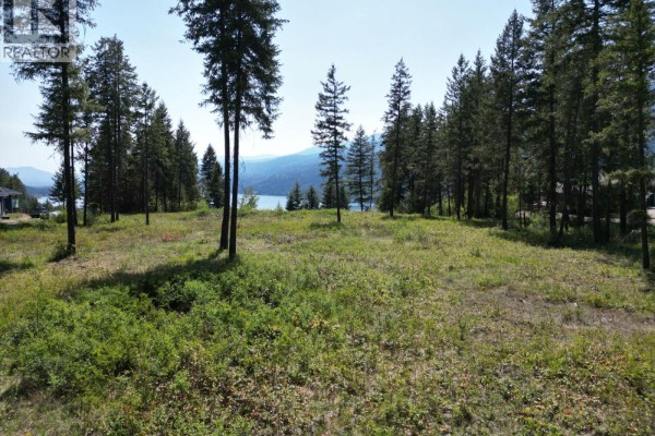 Caitlin Road Lot# 19, Christina Lake, BC V0H1E0 Photo 4