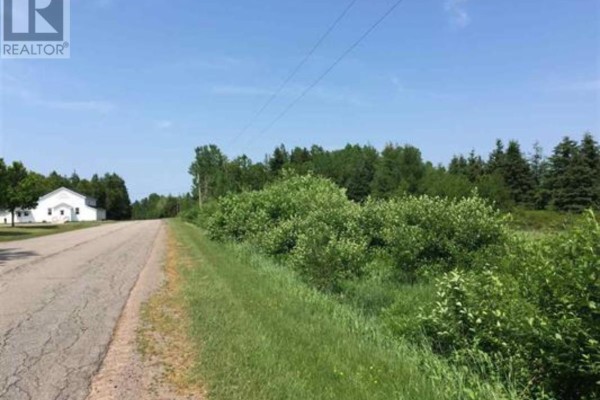 A paved road curves through a rural landscape with green grass and dense trees. - Cambridge Road, Sturgeon