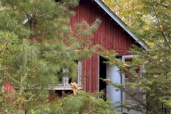 View of a red wooden cabin surrounded by pine trees and foliage, with an open door visible. - Camp L'eglise Road, Saint Norbert