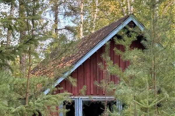 A red wooden cabin roof with blue trim, nestled amongst trees with visible broken window. - Camp L'eglise Road, Saint Norbert