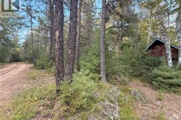 A dirt road leads past trees towards a small red cabin in a wooded area. - Camp L'eglise Road, Saint Norbert