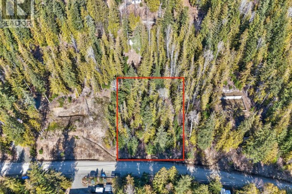 Castle Heights Lot# 53, Anglemont, BC V0E1M8 Photo 5