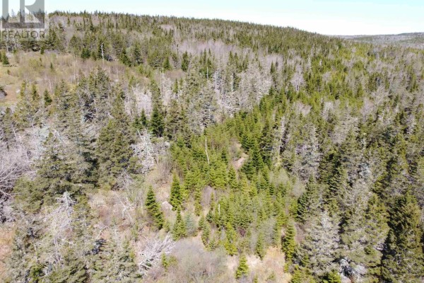 Cemetery Road, Spry Harbour, NS B0J3H0 Photo 3