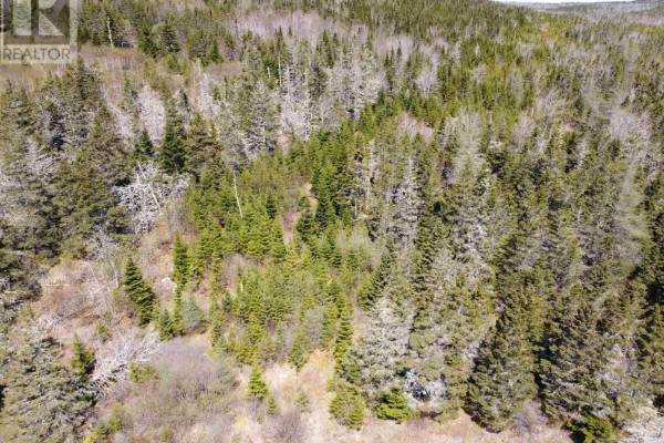 Cemetery Road, Spry Harbour, NS B0J3H0 Photo 4