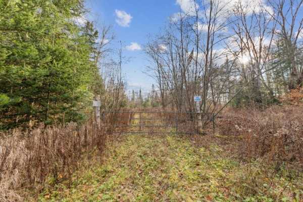 Ch. Copeland-evans, Alleyn Et Cawood, QC, photo 3