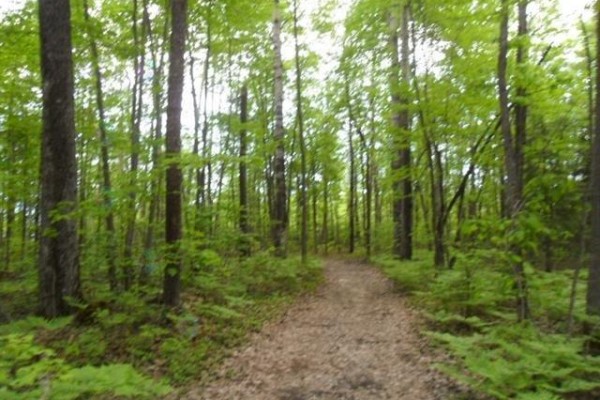 Ch. River, L Isle Aux Allumettes, QC, photo 3