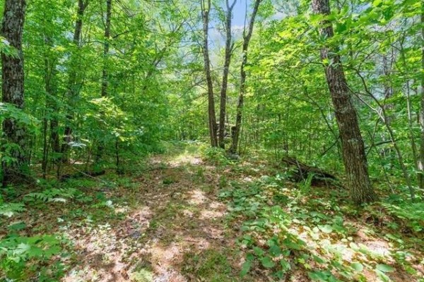 Ch. Sanscartier, Val Des Monts, QC, photo 2