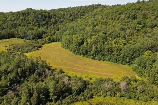 Ch. Thomas N., Notre Dame De La Salette, QC, photo 3