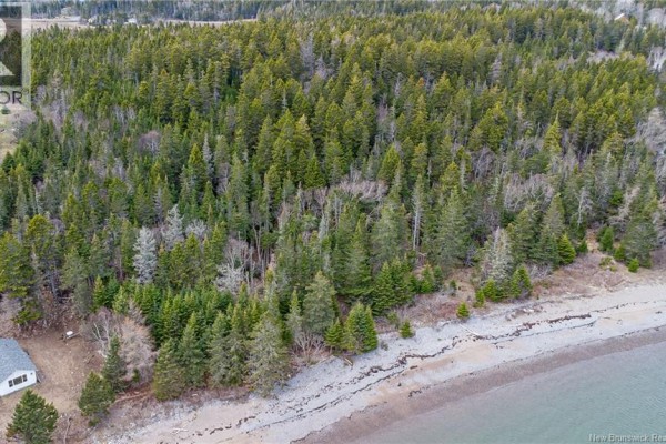 Chance Harbour Road, Chance Harbour, NB E5J1Z1 Photo 3