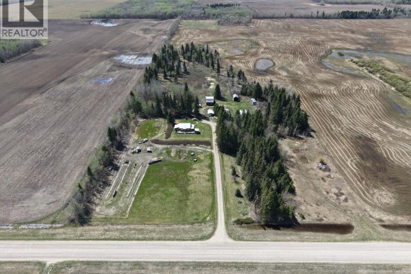 Gravel driveway leading to a property with houses and mature evergreen trees on either side. - Choiceland Acreage, Torch River Rm No  488