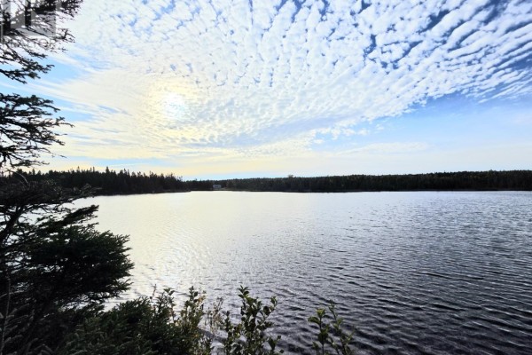 Eat in kitchen - Cl124016 Sprucy Pond (rocky Road) Pond, Grand Falls Windsor, NL A2A2P7 Photo 5