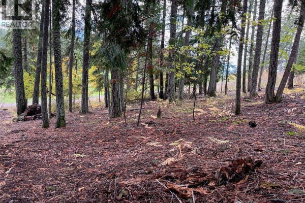 Columbia Drive Lot# 138, Anglemont, BC V0E1M8 Photo 4