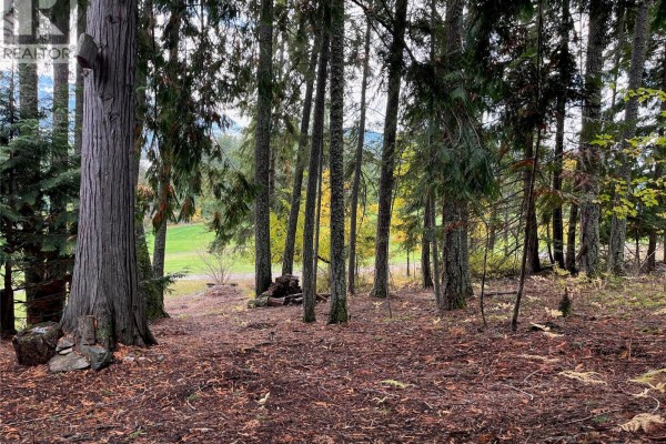 Columbia Drive Lot# 138, Anglemont, BC V0E1M8 Photo 5