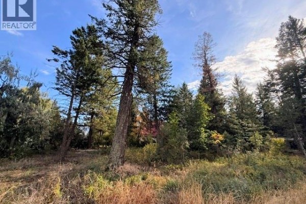 Columbia Place Lot# A, Fairmont Hot Springs, BC V0B1L2 Photo 4