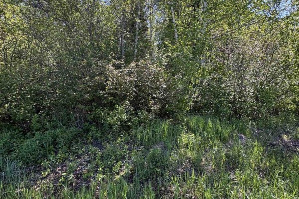 Con 13, Pt Lot 21, Part 1 Golf Course Road, Chisholm, ON, photo 2