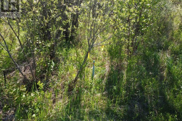 Con 13, Pt Lot 21, Part 1 Golf Course Road, Chisholm, ON, photo 3
