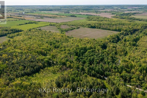 Con 4 Sideroad 30, Meaford, ON N0H1B0 Photo 3