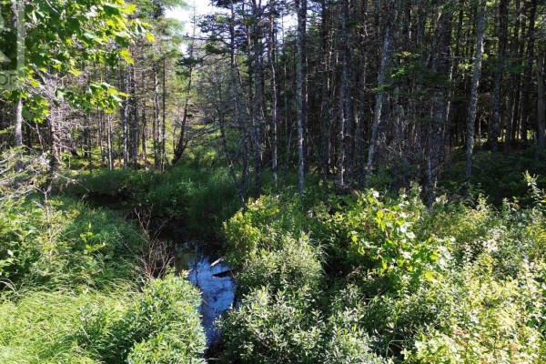 Condons Lake Drive, Lynche River, NS, photo 2