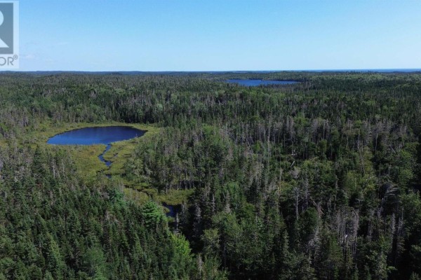 Condons Lake Drive, Lynche River, NS, photo 3