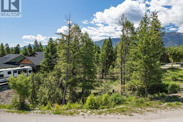 Copper Point Way Lot# 59, Windermere, BC V0A1K3 Photo 4