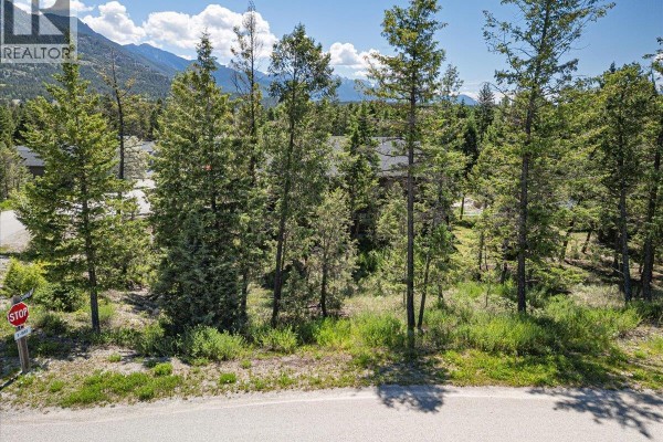 Copper Point Way Lot# 59, Windermere, BC V0A1K3 Photo 5