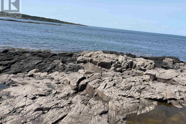 Aerial view of the vast blue ocean meeting a rocky shore with diverse vegetation and distant land. - Cow Ledge Bay Of Fundy Land, Freeport