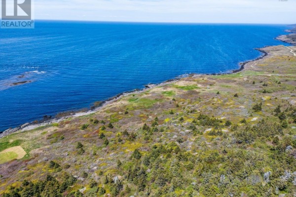 Expansive view of the blue Bay of Fundy from elevated land with low-lying vegetation and trees. - Cow Ledge Bay Of Fundy Land, Freeport