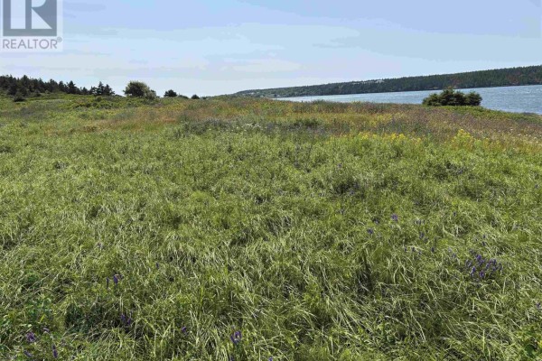 Aerial view of a treed landscape with rocky outcroppings and coastal vegetation leading to the ocean. - Cow Ledge Bay Of Fundy Land, Freeport
