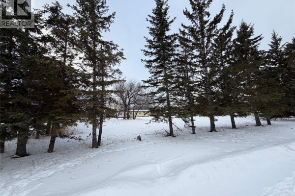 Currie Lots, Hudson Bay Rm No  394, SK S0E0Y0 Photo 4