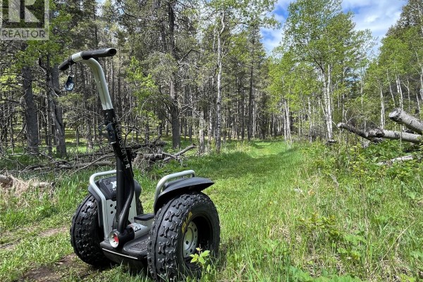 Cypress Hills Segway Tours, Cypress Hills Provincial Park, SK S0N1N0 Photo 2