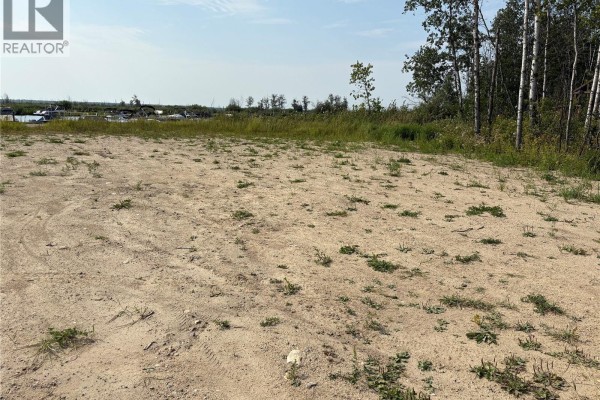 D Delaronde Road, Delaronde Lake, SK S0J0E0 Photo 4