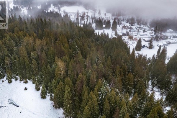 Deer Park Drive Lot# 21, Rossland, BC V0G1Y0 Photo 4