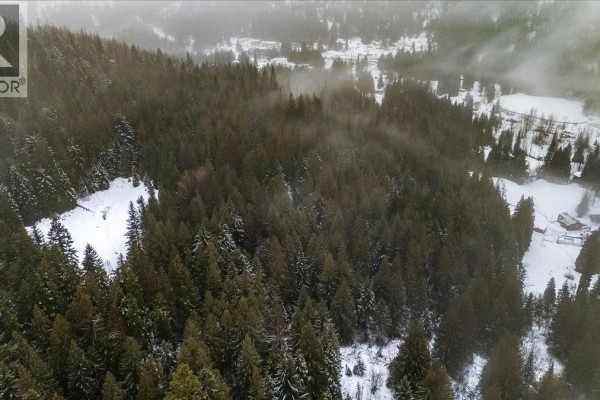 Deer Park Drive Lot# 21, Rossland, BC V0G1Y0 Photo 5