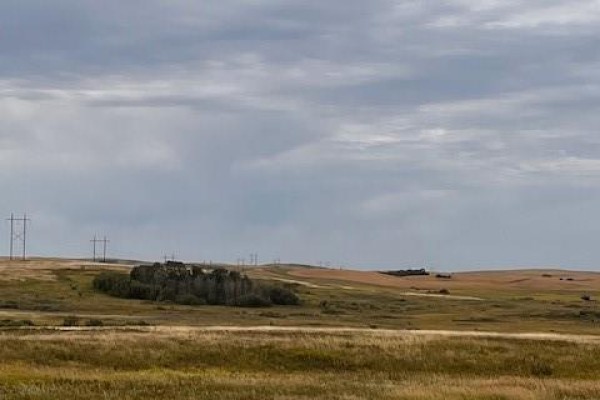 Dennis Pasture, Perdue Rm No  346, SK S0K3C0 Photo 3