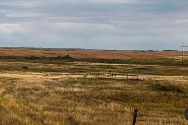 Dennis Pasture, Perdue Rm No  346, SK S0K3C0 Photo 5