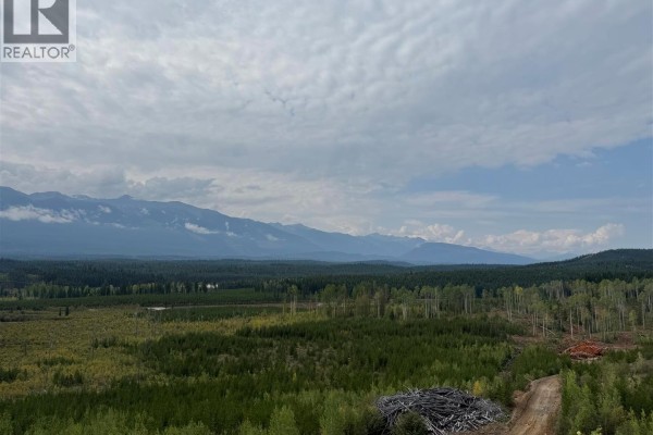 Dl 10766 Giant Mine Road, Spillimacheen, BC V0A1P0 Photo 2