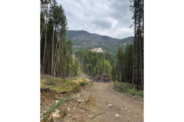 Dl 10766 Giant Mine Road, Spillimacheen, BC V0A1P0 Photo 3