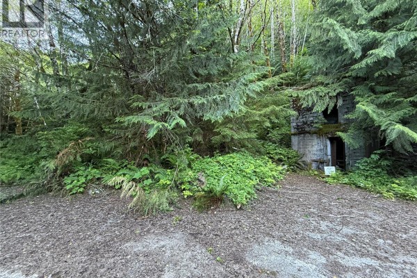 Dl 1501 Benson Lake, Port Alice, BC V0N2N0 Photo 4